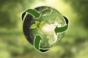 What are the primary goals of sustainability