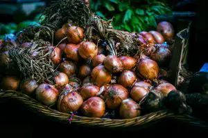 thavnairian onion grow time 