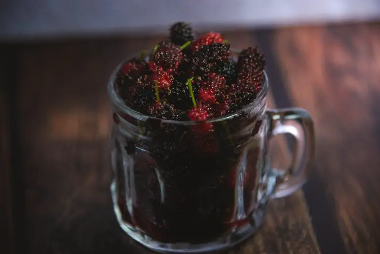 bitter blackberries