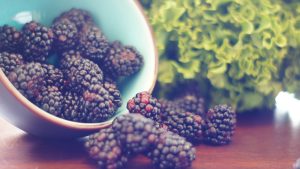 bitter blackberries