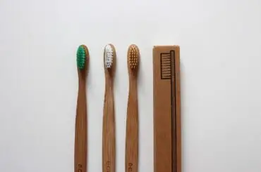 toothbrushes be recycled in WordPress