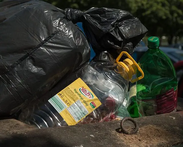 ompostable vs. biodegradable trash bags
